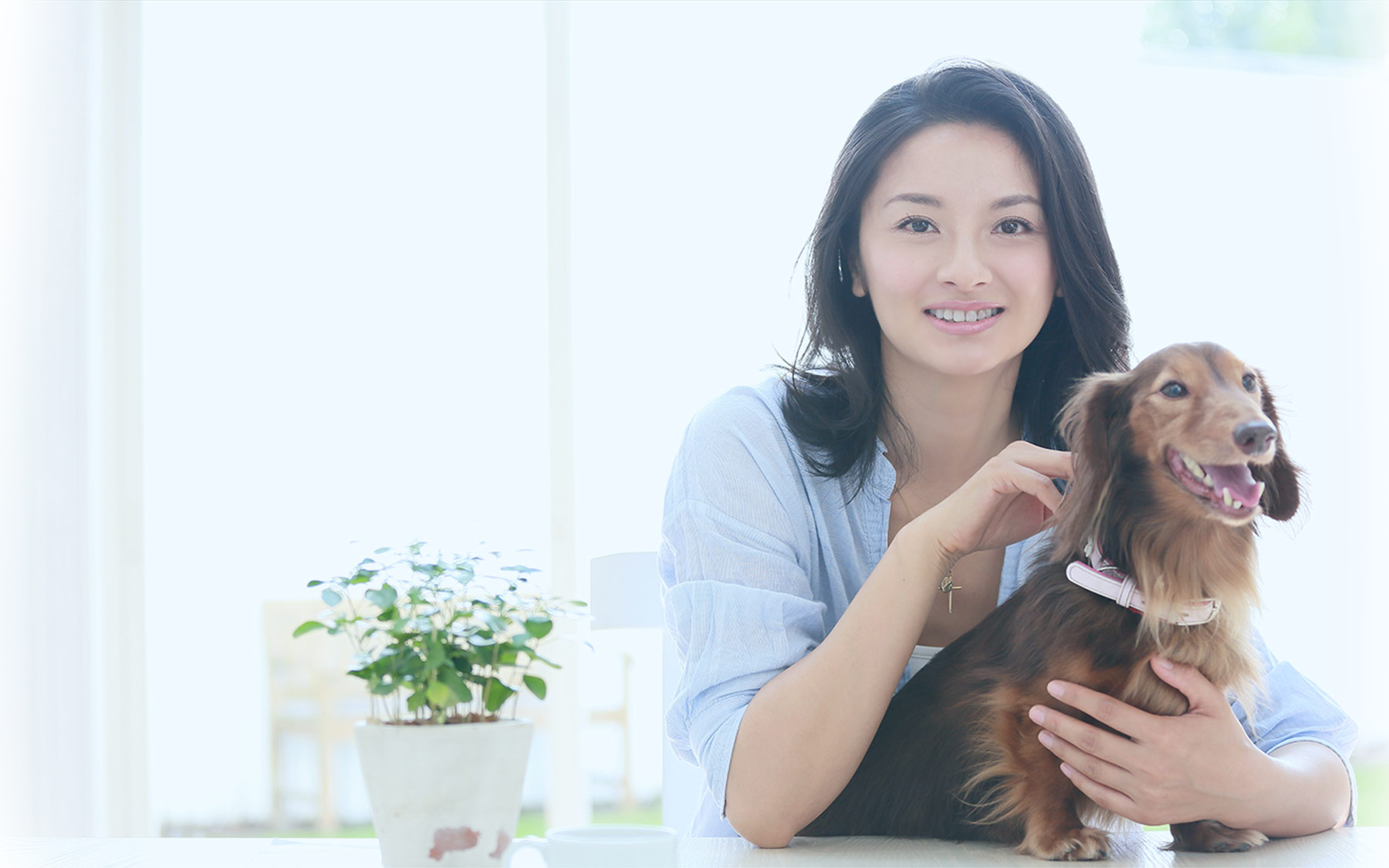 マイトマックススーパー中大型犬用６０カプセル2本セット
