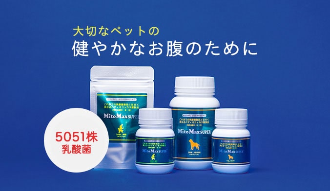 マイトマックス