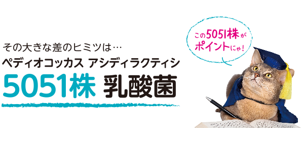 そのさの秘密は５０５１株乳酸菌