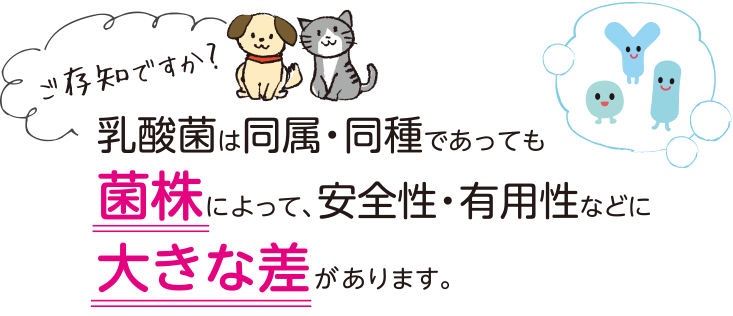 乳酸菌は同属・同種出会っても菌株によって大きな差があります。