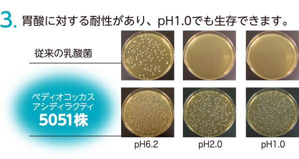 ３：遺産にタイルル耐性がありph1.0でも生存できます。