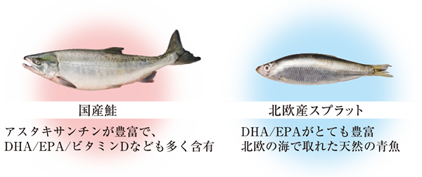 国産鮭と北欧産スプラット味