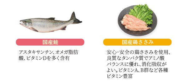 国産鮭 国産鶏ささみ